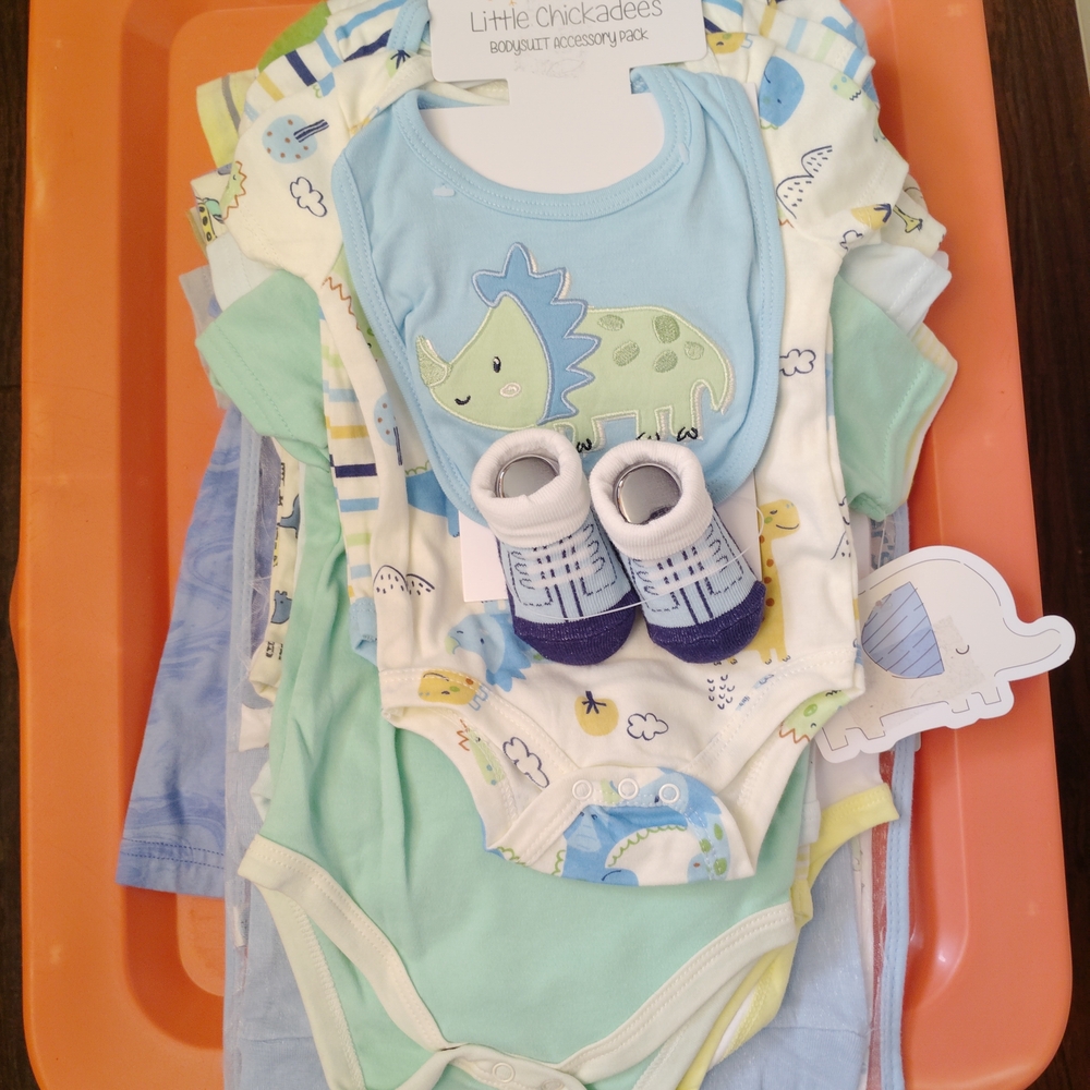 Dinos & More NWT Baby Boy Outfits